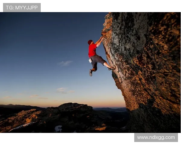 上海攀岩队在极限运动联赛中的团队协作表现分析与点评