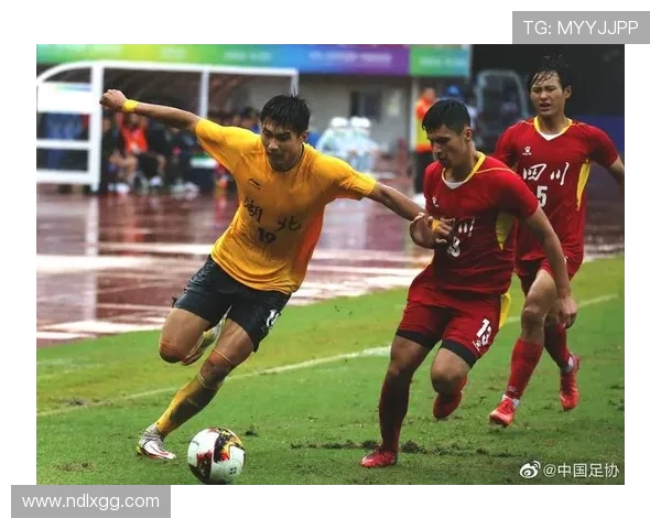 杭州足球队实力分析与未来发展展望探讨